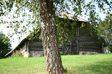Photo 52