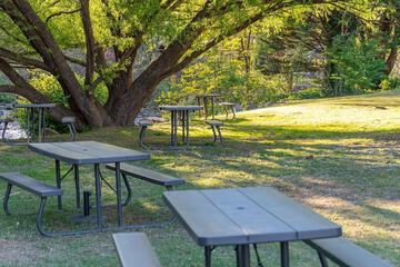 BBQ/picnic area