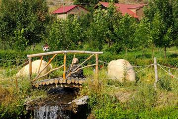 Photo 25