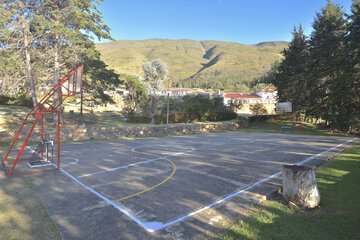 Basketball court