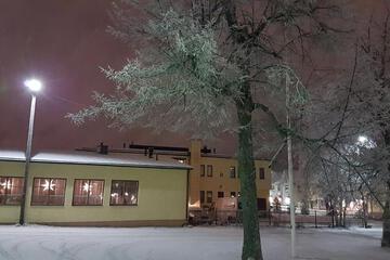 Photo 43