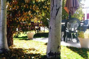 BBQ/picnic area