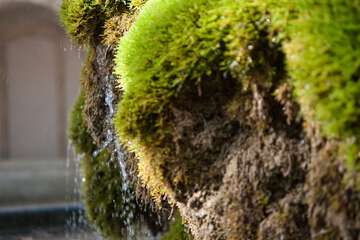 Fountain