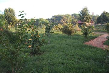 Photo 43