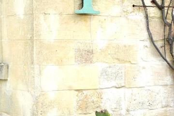 Photo 66