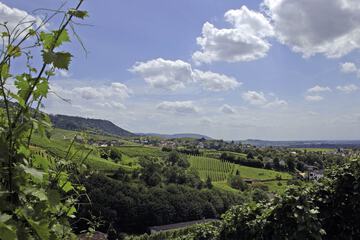 Land view from property
