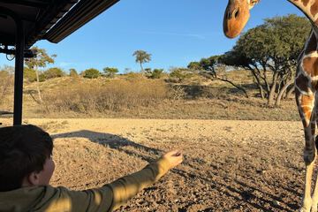 Game viewing