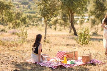 BBQ/picnic area