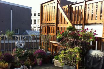 Photo 35