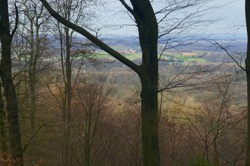 Hiking