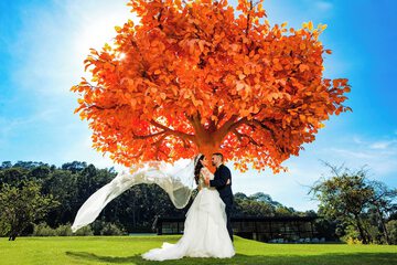Outdoor wedding area
