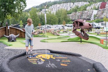 Mini-golf