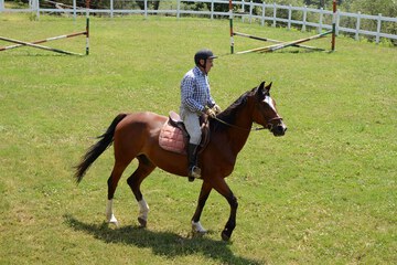 Horseback riding