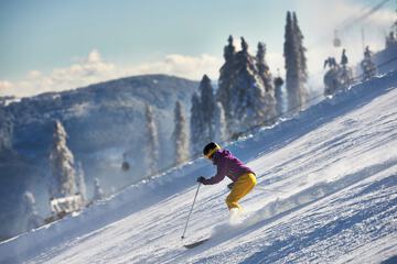 Snow and ski sports