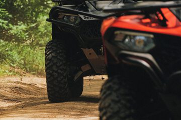Safari