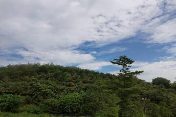 Photo 48