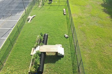 Pet-friendly amenities