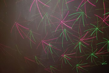 Birthday party area