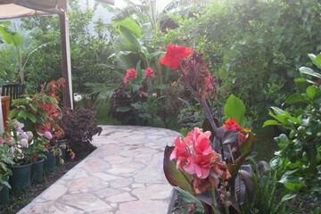 Photo 46