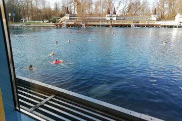 Photo 46