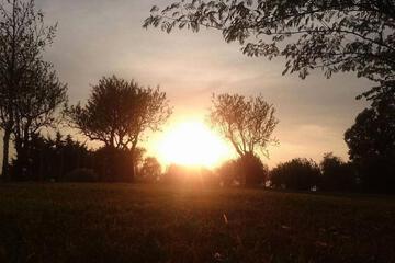 Photo 34
