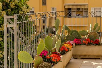 Courtyard view