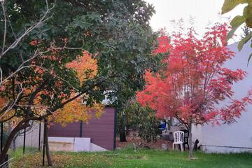 Photo 81