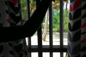 Photo 37