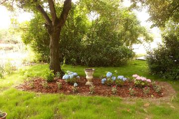 Photo 46