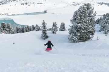 Skiing