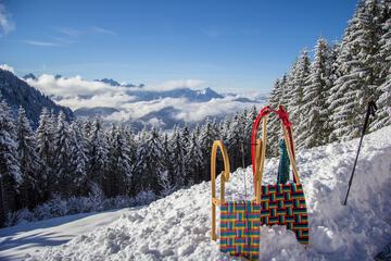 Sledding