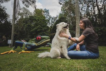 Pet-friendly