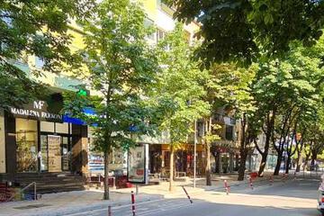Photo 30