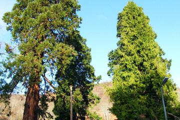 Photo 54