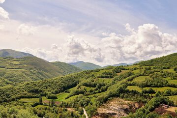 Land view from property