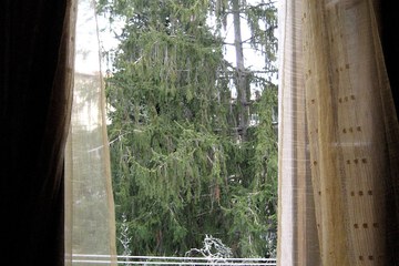 View from room
