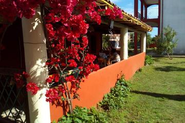 Photo 27