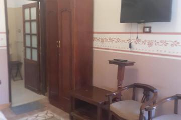 Photo 51