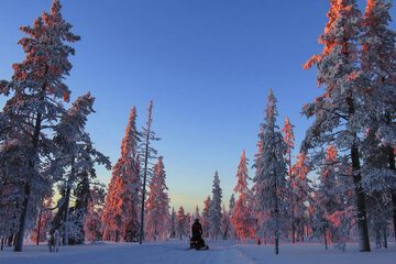 Snowmobiling
