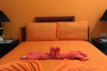 Photo 44