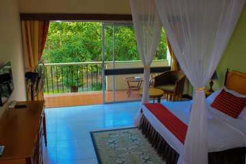 Garden view