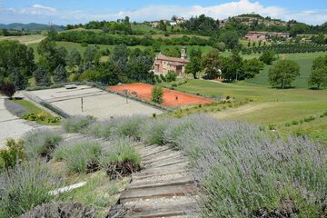 Tennis court