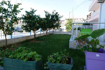 Photo 87