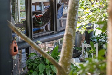 Garden view