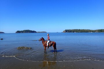 Horseback riding