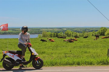 Scooter/moped