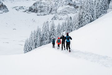 Snowshoeing