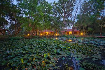 Lake view