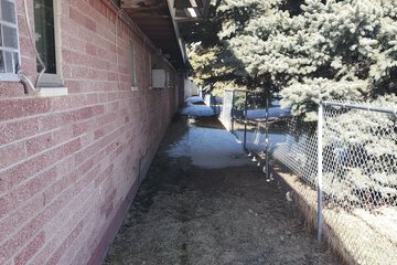 Pet-friendly amenities