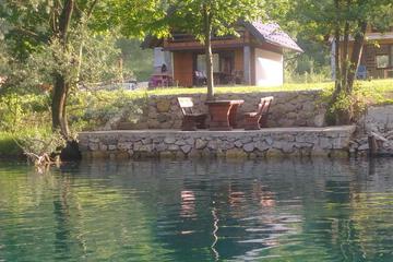 Photo 41